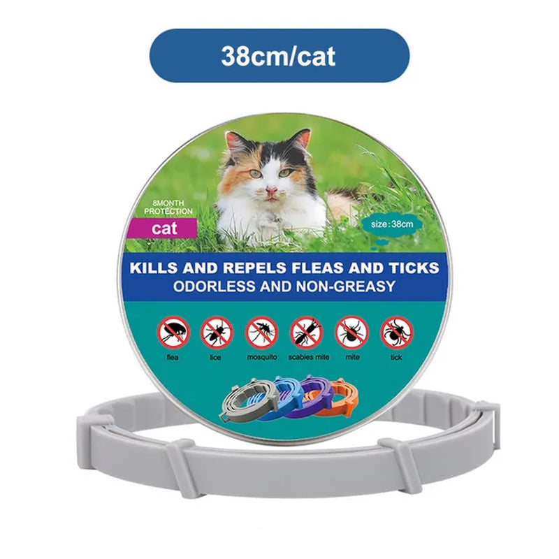 Dog and Cat Collar to Repel and Kill  Fleas, Ticks, Mosquitoes and Other Insects  38Cm 70Cm For Big and Small Dogs and Cats Pet Safe Formula and Waterproof